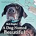 A Dog Named Beautiful: A Marine, a Dog, and a Long Road Trip Home by 