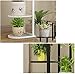 Indoor Display Rack 5 Tier Metal Plant Stand Flower Pots Stander Display Pots Holder (Black)thumb 4