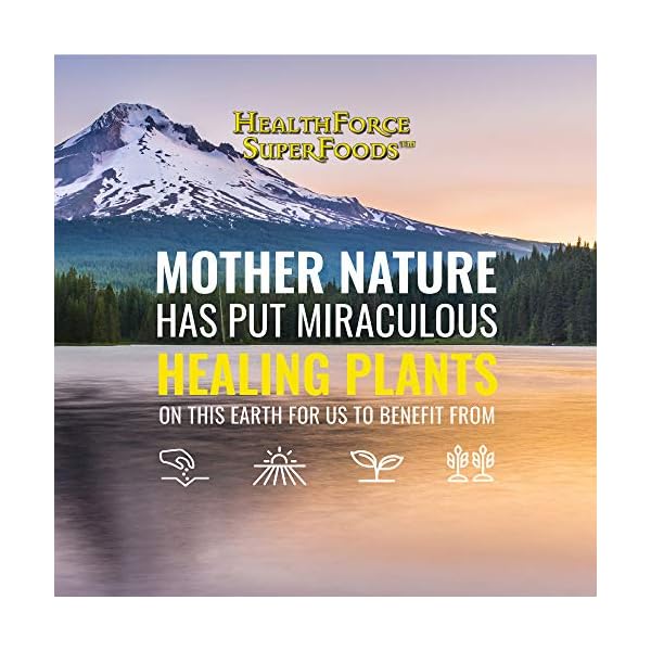 HealthForce SuperFoods Digestion Enhancement Enzymes All Natural Plant