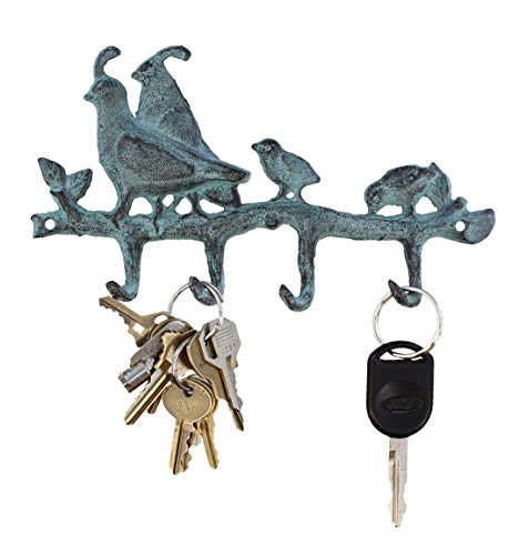 Quail Key Hook Buy Online In Cook Islands Anecdotal Aardvark Products In Cook Islands See Prices Reviews And Free Delivery Over Nz 100 Desertcart