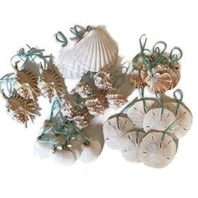 51%2Bm0p%2Bi99L. SS280