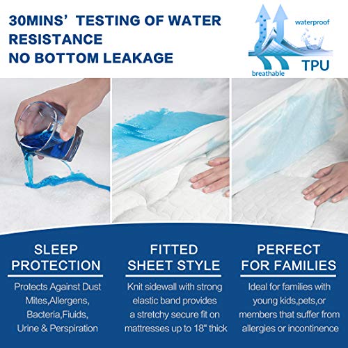 Abakan Queen Mattress Protector Premium Coral Fleece Surface Waterproof Breathable Noiseless Cooling Mattress Pad Cover Soft Vinyl Free Mattress Encasement 60x80 Inch