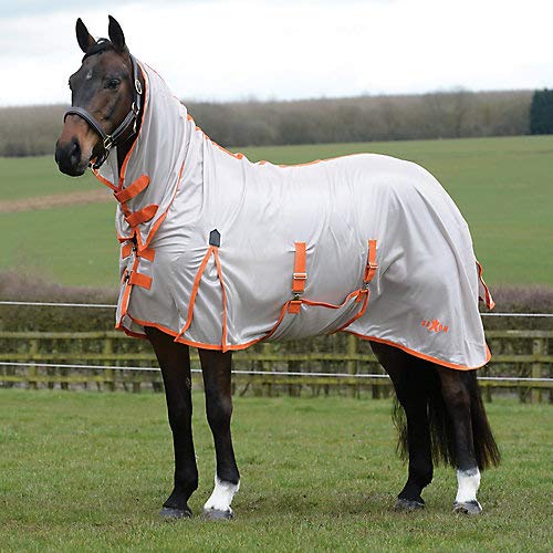 Saxon. Mesh with Gusset Belly Wrap Combo Neck (72", Grey/Orange)