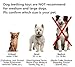 MICHLEY Puppy Dog Chew Toys - 6 Pack Interactive Dog Teething Toys