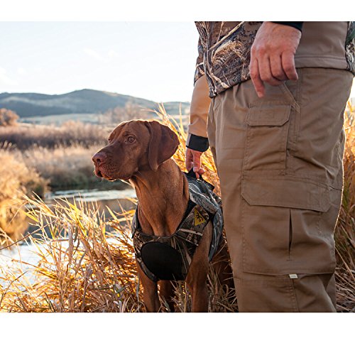 Browning Neoprene Dog Vest Medium REALTREE MAX 5 Hunting Supplies