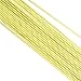emma kites 100% Kevlar Braided String Utility Cord 100Ft 500Lb High Strength, Abrasion/Flame Resistant, Tactical Survival Fishing Assist Cord Model Rocket Paracord Trip Line Kite Camping Cordage