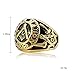 SINLEO Stainless Steel Gold Plated Vintage Freemason Symbol Masonic Rings Biker Bands for Men Size 12