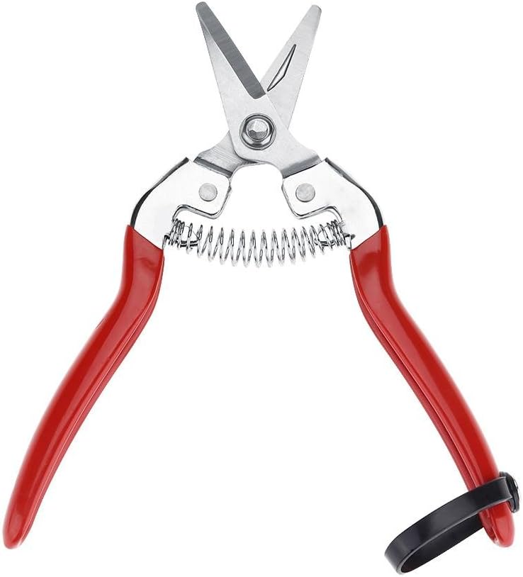 Garden Rose Pruning Shears - Image 3