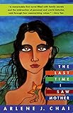 The Last Time I Saw Mother: A Novel by 