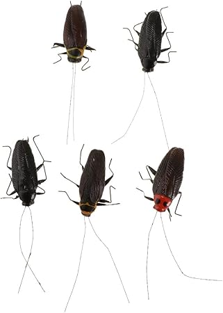 Amazon Generic 5個動物玩具教育リソースハイシミュレーション現実的昆虫フィギュア ゴキブリ おもちゃ雑貨 おもちゃ