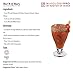 MASTER OF MIXES Classic Bloody Mary Drink Mix, Ready to Use, 1.75 Liter Bottle (59.2 Fl Oz), Individually Boxed