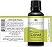 Plant Therapy USDA Certified Organic Cajeput Essential Oil 100% Pure, Undiluted, Therapeutic Grade (30 mL)