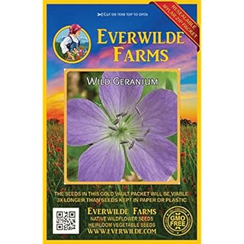 Everwilde Farms - 25 Wild Geranium Native Wildflower Seeds - Gold Vault Jumbo Seed Packet