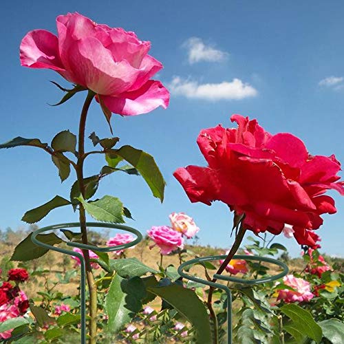 image for GROWNEER 12 Packs 36 Inches Garden Flower Support Plant Support Stakes