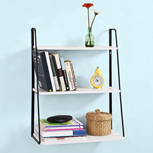 Haotian Wall Shelves,Wall rack,Wall Cabinets ,Wall-Mounted Cabinets ,Storage Racks, Hanging Entryway Shelf,Storage Shelf ,and Coat Rack Wall Shelf with Hooks (FRG176-W)