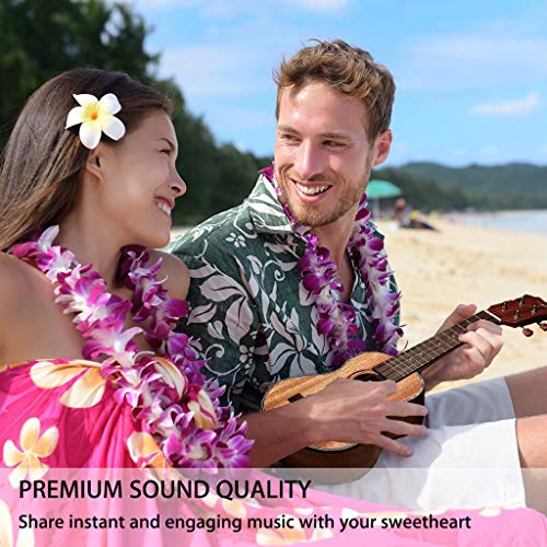 Concert Ukulele, Learn to Play Ukulele 23 inch Bundle with Sapele Gig Bag Tuner Strap Backup String and Instruction Booklet Starter Uke Kit Hawaiian Guitar Professional Tom Ukulele for Beginner