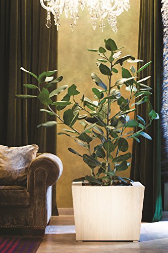 Hobby Blume Natura Pflanzkasten, rechteckig mit autoriego, dunkel, 86 x 47 x 46 cm – Bild 6