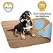 Melliwish Dog Walker Electronic Dog Training Device Vibration Training Dog Remote Control Dog Training Device Correcting Bad Habits of Dogs Washable Dog Pee Pads - 2 Pack Puppy Pads (Blue)