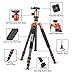 ZOMEI Light Weight Portable Carbon Fiber Travel Complete Tripod Come with Ball Head Carry Case for Digital/Camcorder/DSLR/SLR/Video Camera, Orange