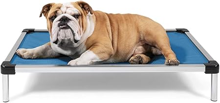 k9 ballistics amazon