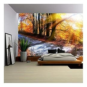 Panoramic Autumn Landscape with Country Road in Orange Tone. Nature Background - Removable Wall Mural | Self-Adhesive Large Wallpaper - 66x96 inches