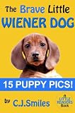The Brave Little Wiener Dog -- 15 Full-Color Puppy Pictures!! Great for Kids Ages 5-8! (Little Readers #1)