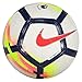 Nike Premier League Strike Ball