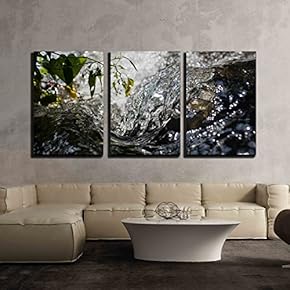 3 Piece Canvas Wall Art - Close Up of Water Rushing Over Rock with Green Leaves and Berries - Modern Home Art Stretched and Framed Ready to Hang - 16"x24"x3 Panels