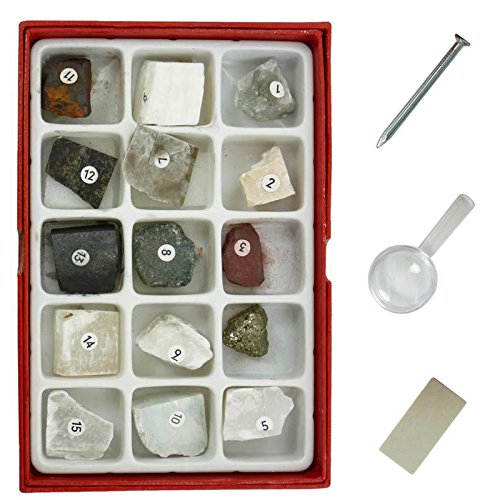 Real 15 Rock and Minerals Collection Identification Study Kit with tools for Kids in Geology Science Education by BII
