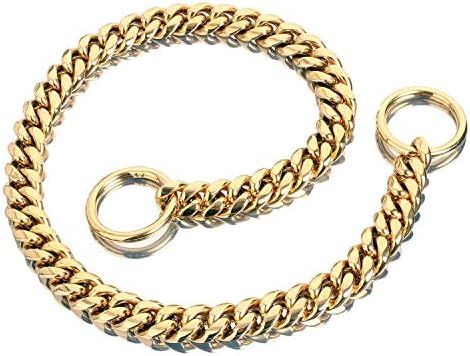 14k gold dog collar