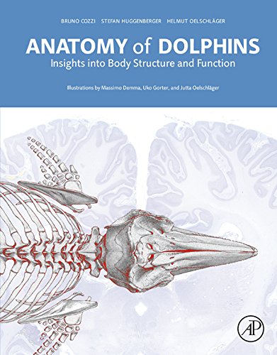 Anatomy of Dolphins: Insights into Body Structure and Function