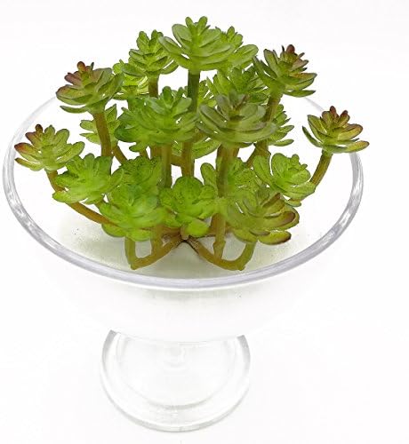HOLANTON Succulent Artificial Cactus Plant Set with Pot and Sand Home Desktop Decoration