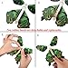 beemean Magic Flying Butterfly Gift Cards - Wind Up Butterfly in The Book Fairy Toy Great Surprise Wedding (8PCS)