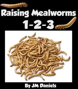 Raising Mealworms 1 2 3 How To Breed And Raise The Easiest Feeder