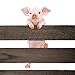 Climbing Piggy Fence Decor, Brown