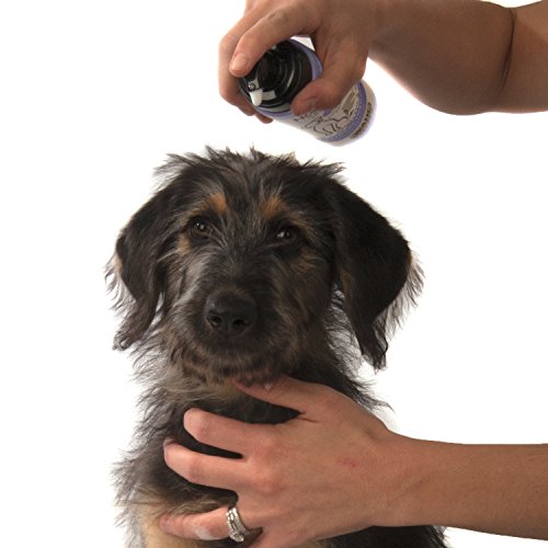 Wahl Pet Friendly No-Rinse Waterless Shampoo, Lavender #820014