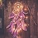 Light Up Dream Catchers for Bedroom Wall Hanging Decorations, LED Dreamcatcher Home Ornaments with 20 LED Lights,Fantasy Gifts for Kids, Caught your Dream (Purple)