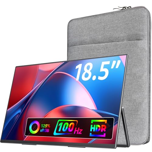 VisionOwl 18.5 Inch Portable Monitor