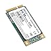 RECADATA mSATA III SSD MLC High Level Enterprise Class Internal Solid State Drive (256GB)