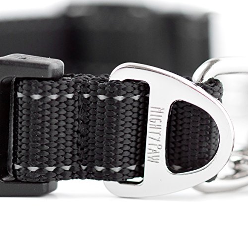Mighty Paw Martingale Collar, Training Dog Collar, Limited Cinch Chain Pet Gear for No Pull Dog Walk - //medicalbooks.filipinodoctors.org