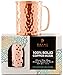 Moscow Mule Copper Mugs |16oz Set of 2 | Beer Mug Stein Shape, More Comfortable Handle - Danae Supply Co.