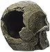 Blue Ribbon Pet Products ABLEE818 Mini Human Skull Ornaments for Aquarium