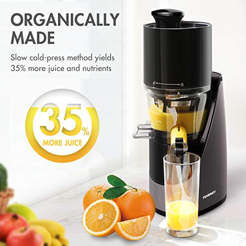 Tenergy Masticating Juicer, Anti-Oxidation Slow Speed Cold Press Juicer, High Nutrient Fresh Vegetable and Fruit Juice Extractor, Easy to Clean Juicer with Jug and Brush