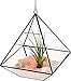 Glass Terrarium - Geometric Diamond Desktop Garden Planter by Mindful Design (Black)
