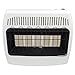 Dyna-Glo IR30PMDG-1 30,000 BTU Liquid Propane Infrared Vent Free Wall Heater White