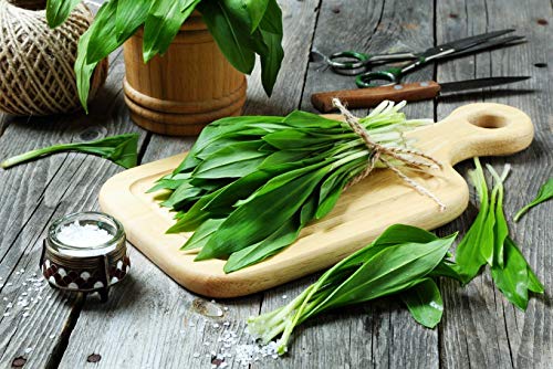 Wild Garlic Seeds Ramsons Buckrams Wood Garlic Lear Leek Herb About 80 Seeds