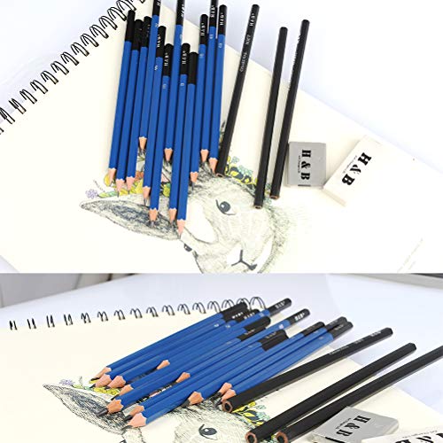 YOTINO 23 Pcs Drawing and Sketching Pencil Set, Professional Sketch Pencils Set in Aluminum Case, Art Supplies Drawing Kit for Adults Kids