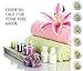 Ahoovah Bath Bombs Spa Kit – XX Large Lush Aromatherapy Bath Fizzies, Handmade Vegan Organic Essential Oils & Shea Butter Skin Moisturizing, Luxury Gift Set for Women Kids Mom Teens Men (6 x 4.2 Oz)