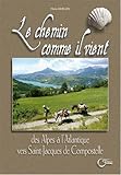Le chemin comme il vient : Des Alpes à l'Atlantique vers Saint-Jacques-de-Compostelle by 
