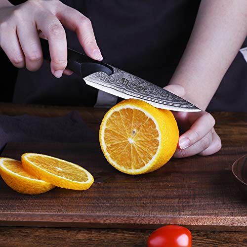 5 inch Damascus Utility knife by Findking-New Design Cheetah series-9CR18MOV damascus steel w/ebony wood handle